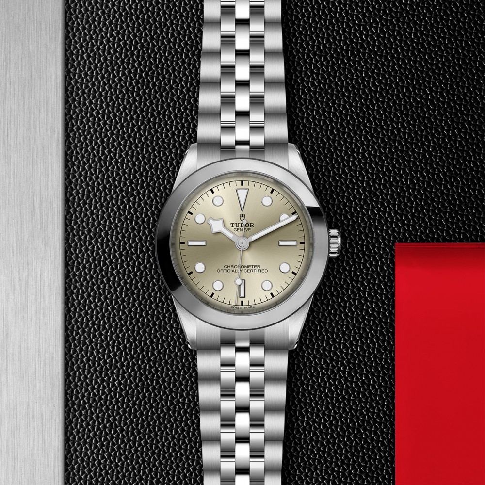 TUDOR Black Bay 31/36/39/41 Watch - M79660-0003 at  Providence Diamond