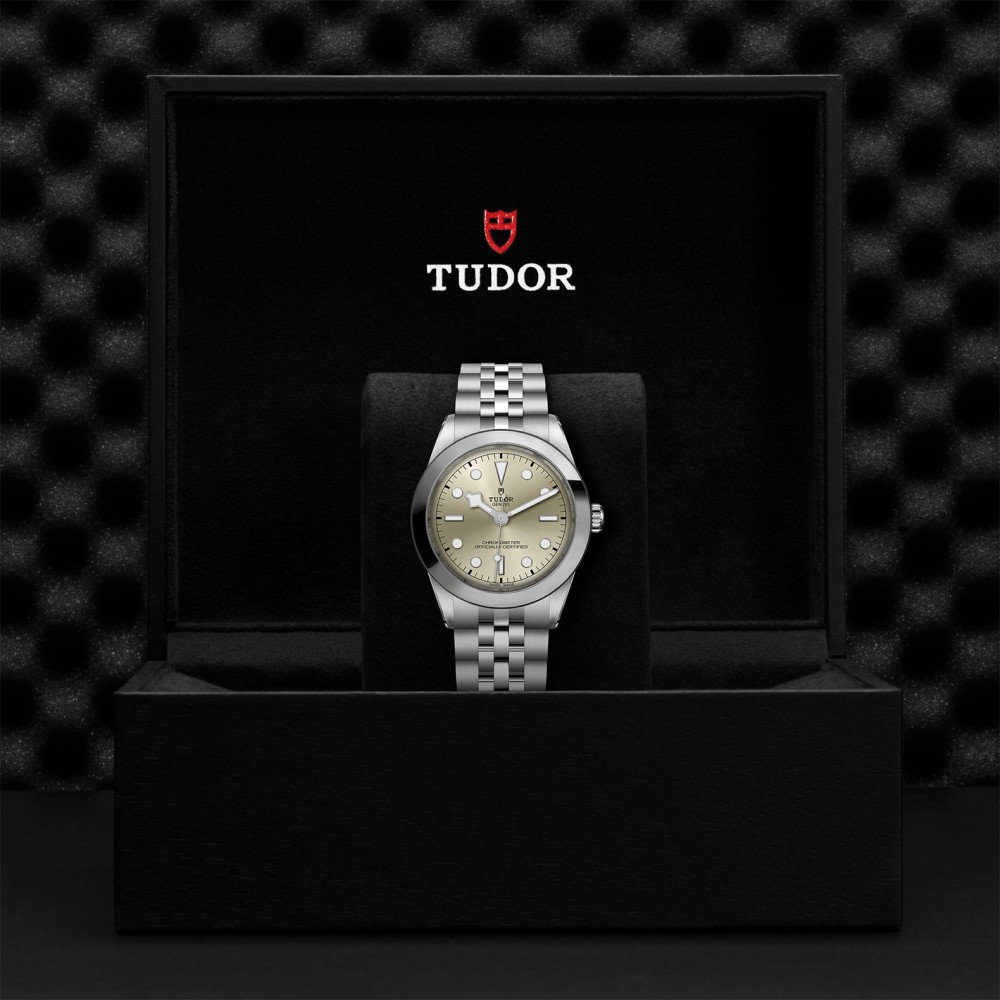 TUDOR Black Bay 31/36/39/41 Watch - M79660-0003 at  Providence Diamond