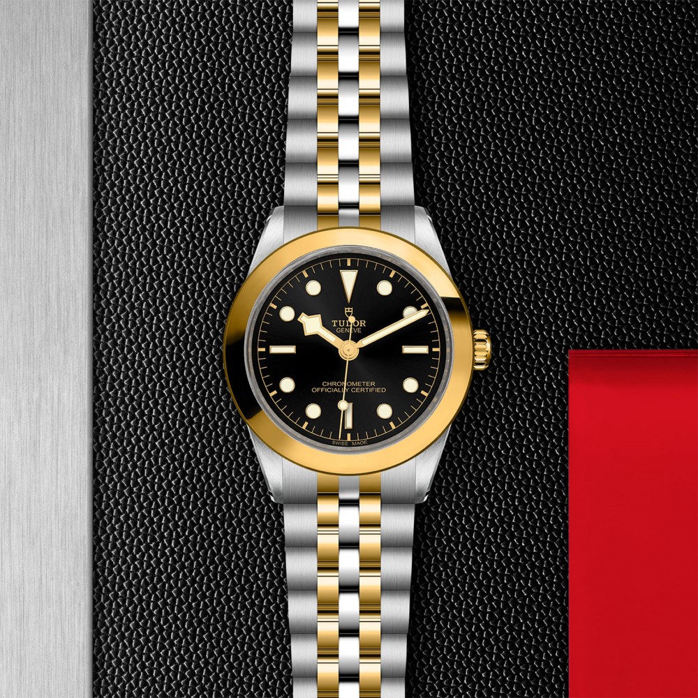 TUDOR Black Bay 31/36/39/41 S&G Watch - M79663-0001 at  Providence Diamond
