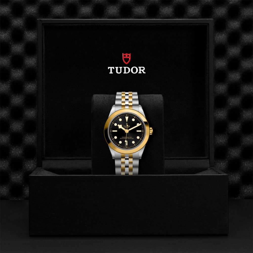 TUDOR Black Bay 31/36/39/41 S&G Watch - M79663-0001 at  Providence Diamond
