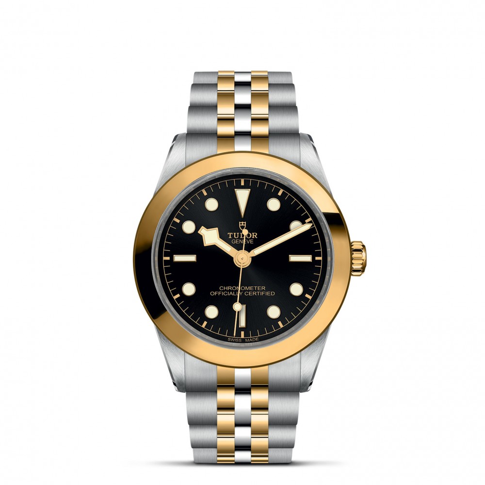 TUDOR Black Bay 31/36/39/41 S&G Watch - M79663-0001 at  Providence Diamond