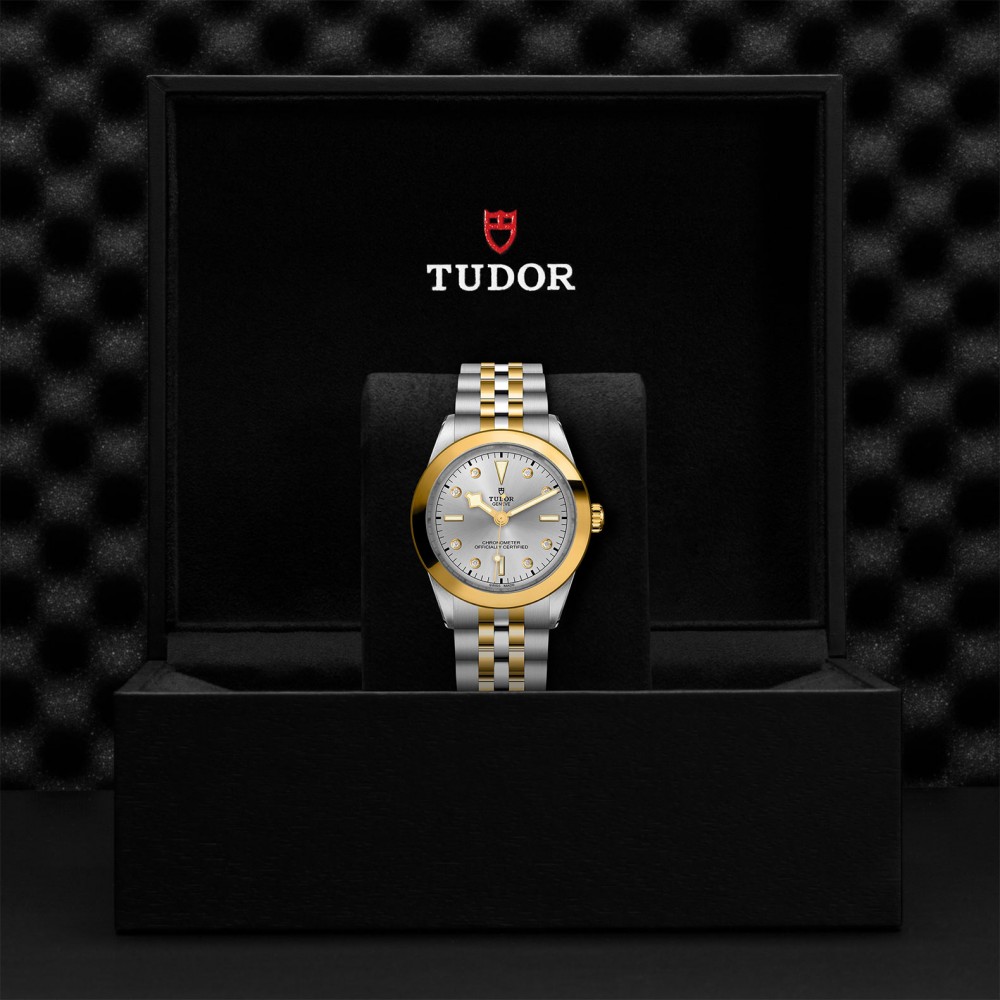 TUDOR Black Bay 31/36/39/41 S&G Watch - M79663-0007 at  Providence Diamond
