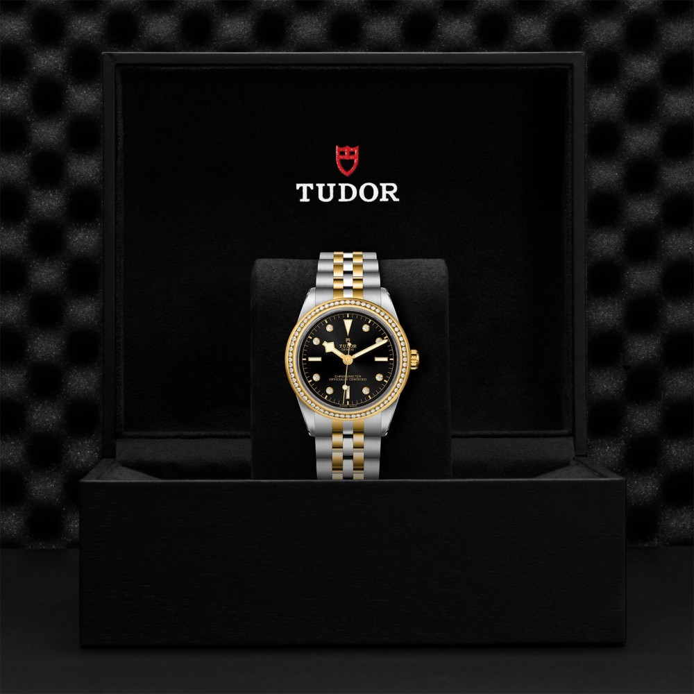 TUDOR Black Bay 31/36/39/41 S&G Watch - M79673-0005 at  Providence Diamond