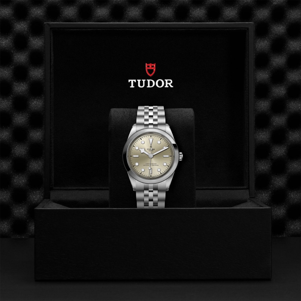 TUDOR Black Bay 31/36/39/41 Watch - M79680-0003 at  Providence Diamond