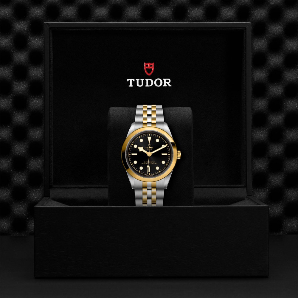 TUDOR Black Bay 31/36/39/41 S&G Watch - M79683-0001 at  Providence Diamond