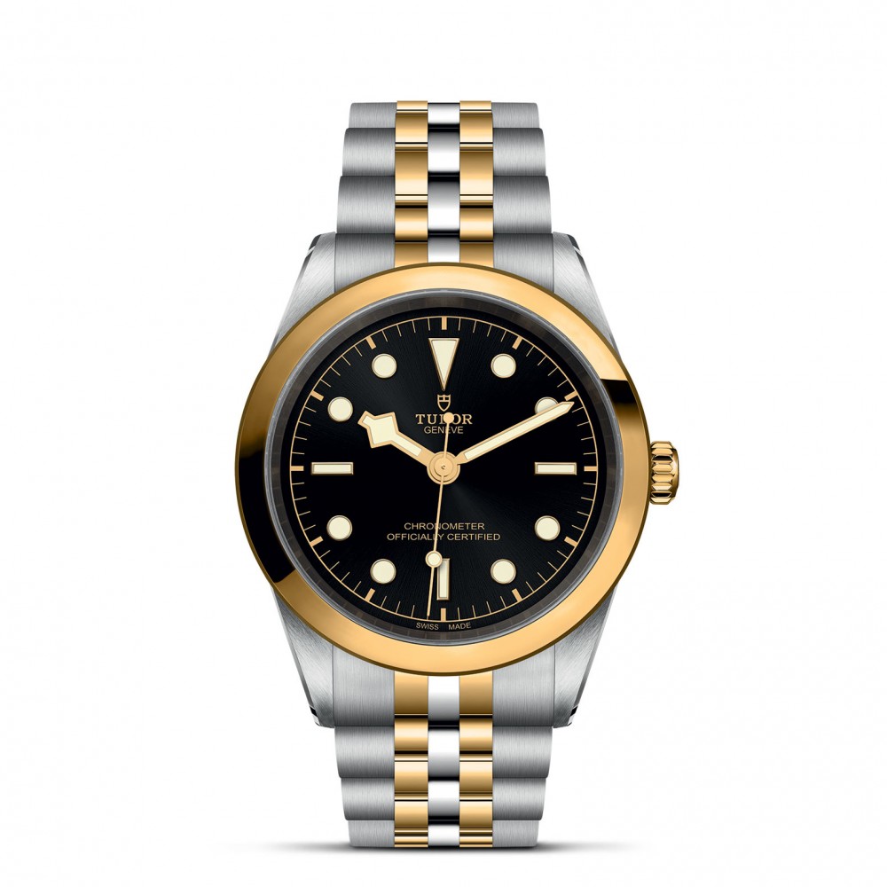 TUDOR Black Bay 31/36/39/41 S&G Watch - M79683-0001 at  Providence Diamond