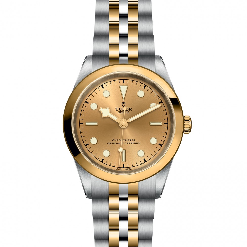 TUDOR Black Bay 31/36/39/41 S&G Watch - M79683-0005 at  Providence Diamond