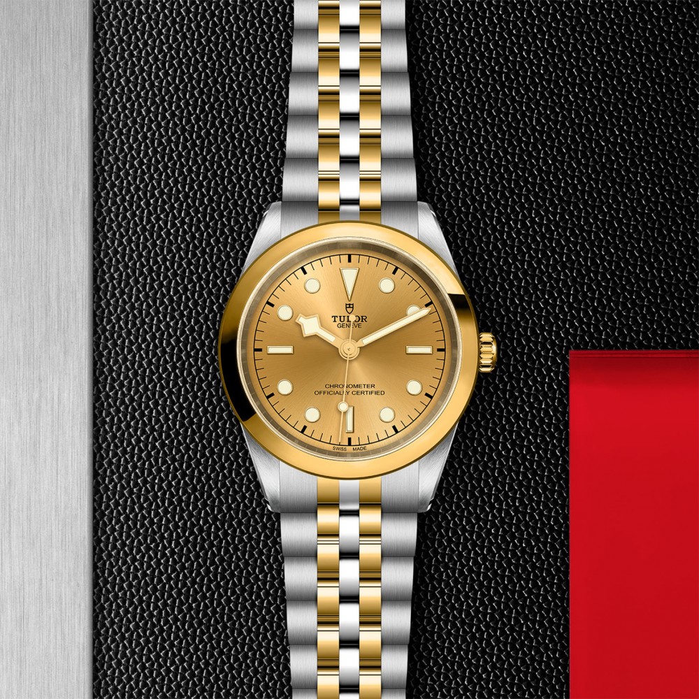 TUDOR Black Bay 31/36/39/41 S&G Watch - M79683-0005 at  Providence Diamond
