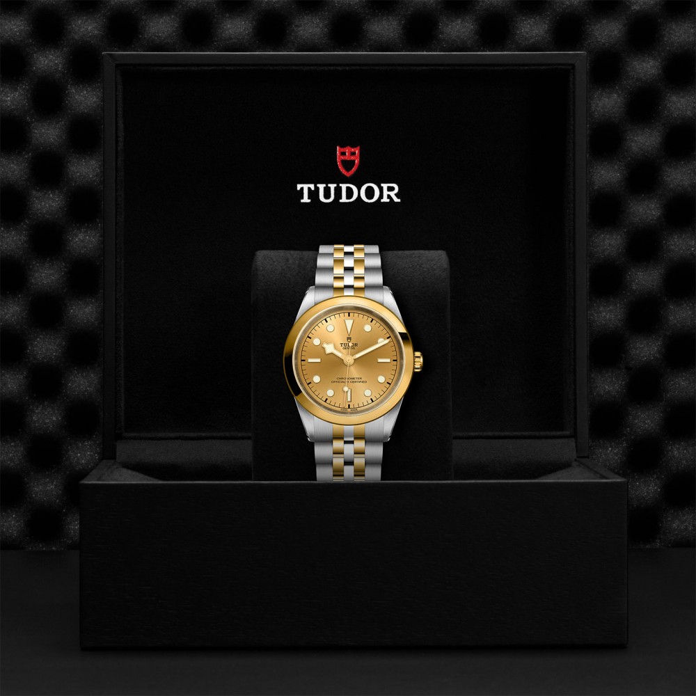 TUDOR Black Bay 31/36/39/41 S&G Watch - M79683-0005 at  Providence Diamond