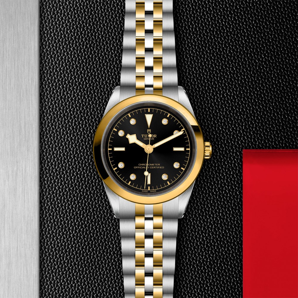 TUDOR Black Bay 31/36/39/41 S&G Watch - M79683-0006 at  Providence Diamond