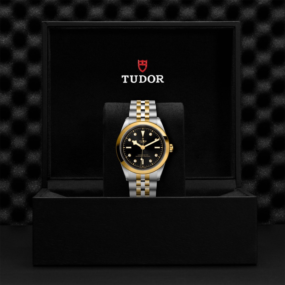 TUDOR Black Bay 31/36/39/41 S&G Watch - M79683-0006 at  Providence Diamond