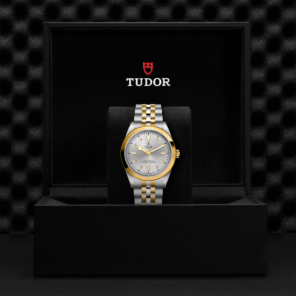 TUDOR Black Bay 31/36/39/41 S&G Watch - M79683-0007 at  Providence Diamond