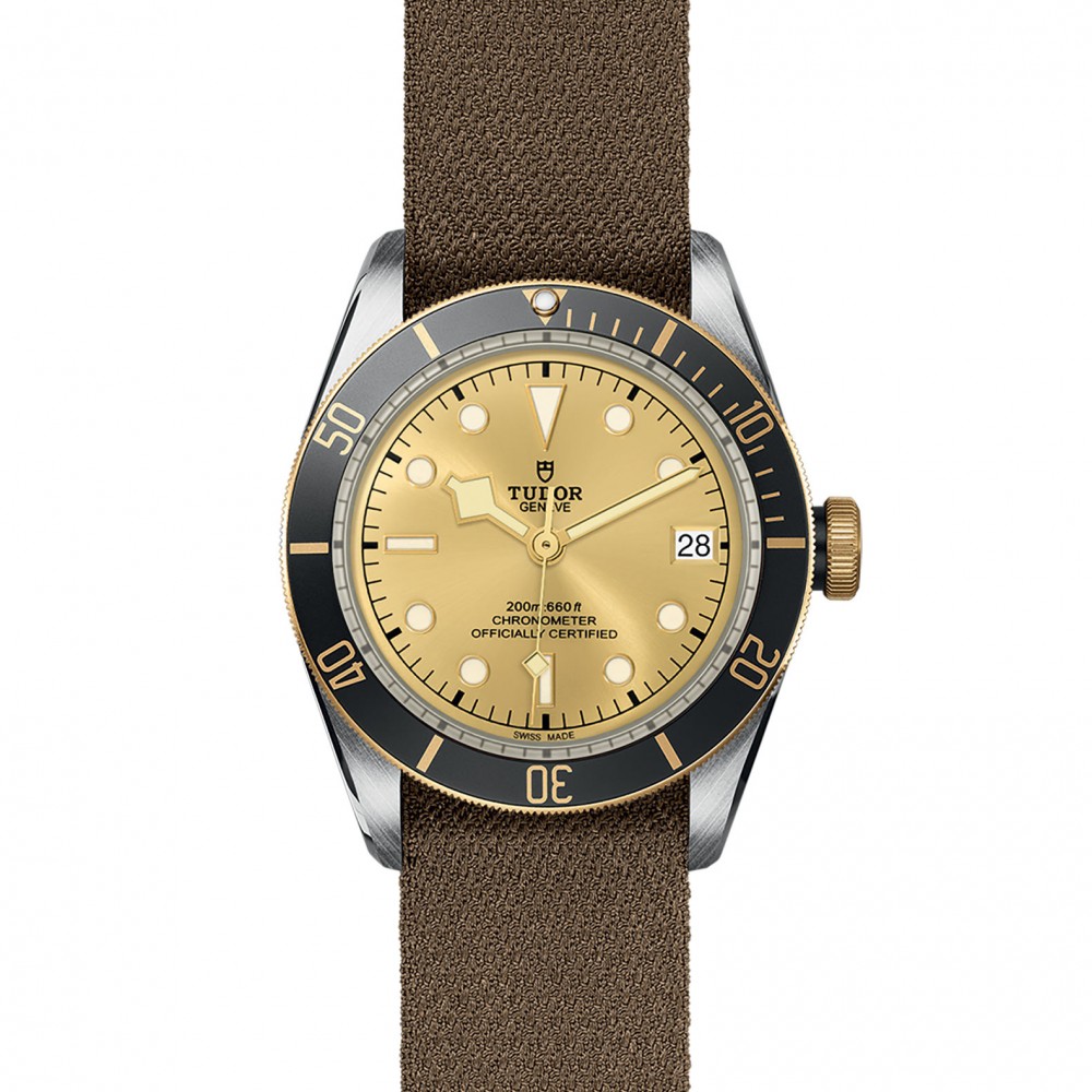 TUDOR Black Bay Watch - M79733N-0006 at  Providence Diamond