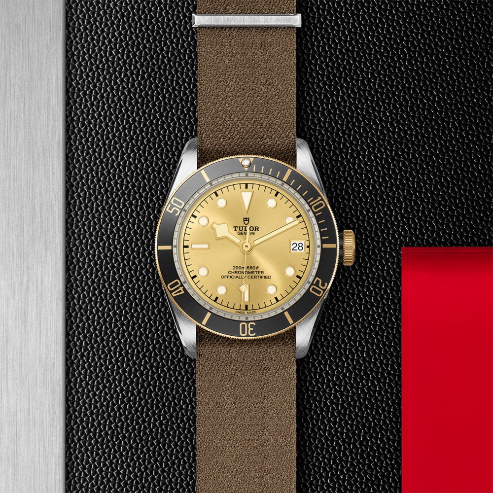 TUDOR Black Bay Watch - M79733N-0006 at  Providence Diamond