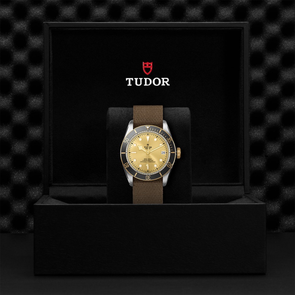 TUDOR Black Bay Watch - M79733N-0006 at  Providence Diamond