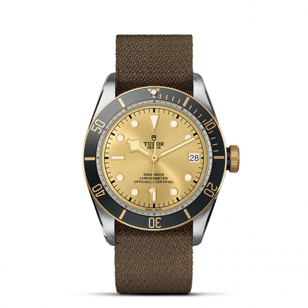 TUDOR Black Bay Watch - M79733N-0006 at  Providence Diamond