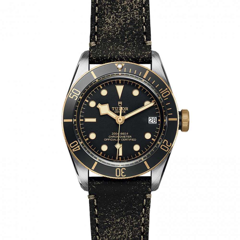 TUDOR Black Bay Watch - M79733N-0007 at  Providence Diamond