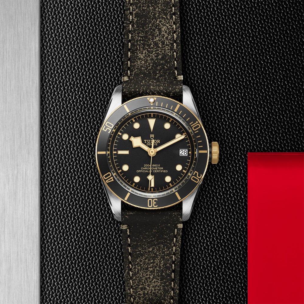 TUDOR Black Bay Watch - M79733N-0007 at  Providence Diamond