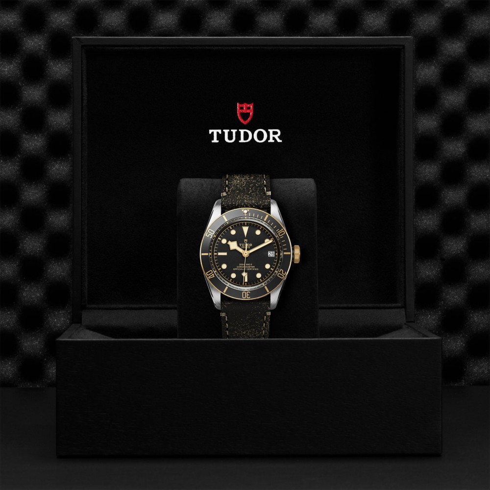 TUDOR Black Bay Watch - M79733N-0007 at  Providence Diamond
