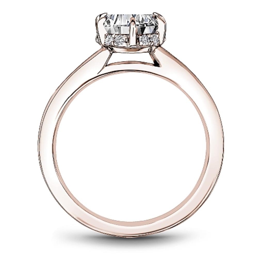 Noam Carver Engagement Ring