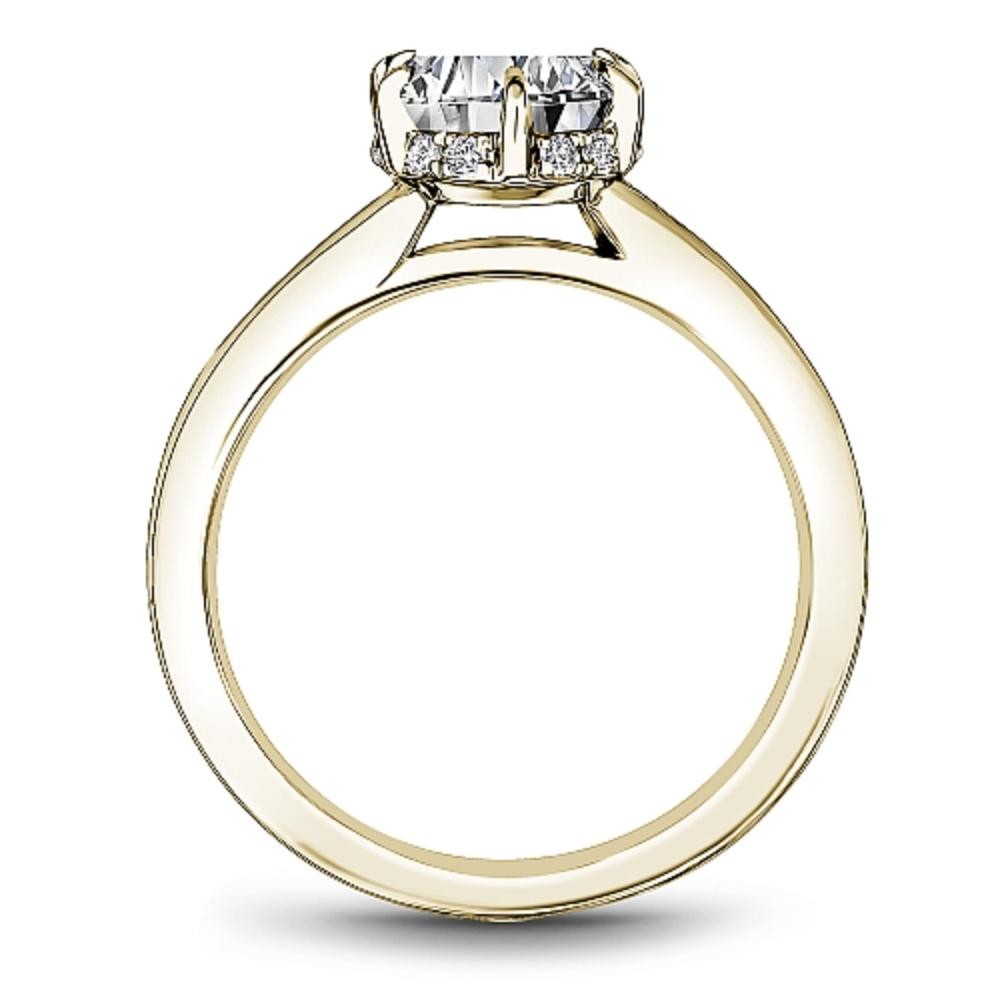 Noam Carver Engagement Ring
