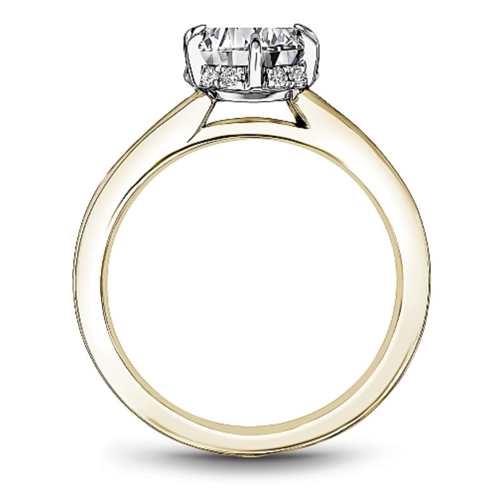 Noam Carver Engagement Ring