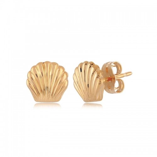 PD Collection Yg Flat Seashell Earrings
