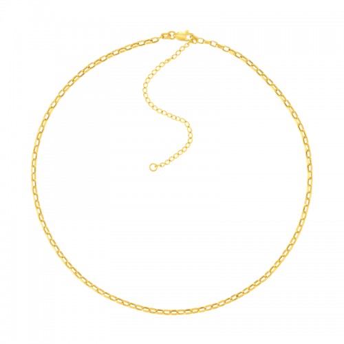PD Collection 14K Yellow Gold Oval Rolo Chain Necklace