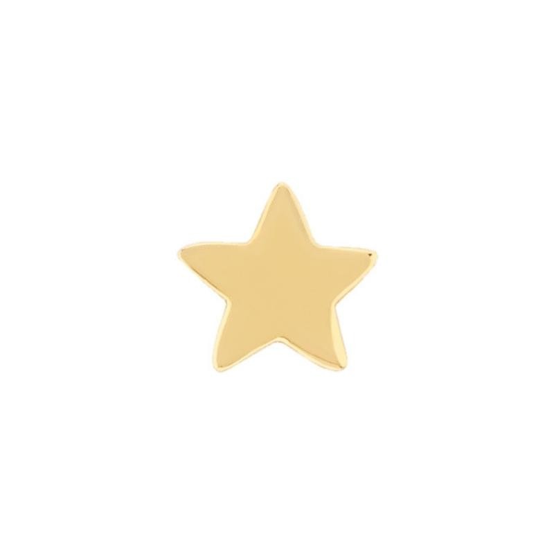 PD Collection Small Star Earrings