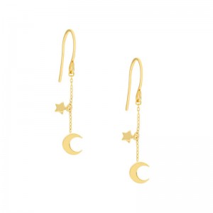 PD Collection 14K Yellow Gold Crescent Moon And Star Drop Earrings