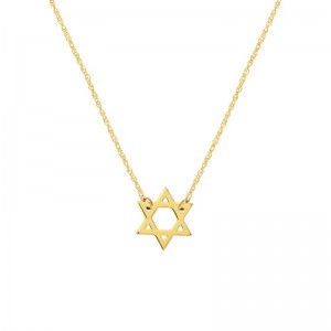 PD Collection 14K Yellow Gold Mini Star Of David Necklace 18