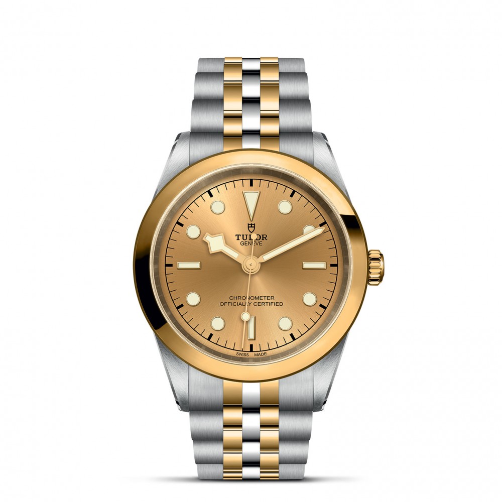 TUDOR Black Bay 31/36/39/41 S&G Watch - M79683-0005 at  Providence Diamond
