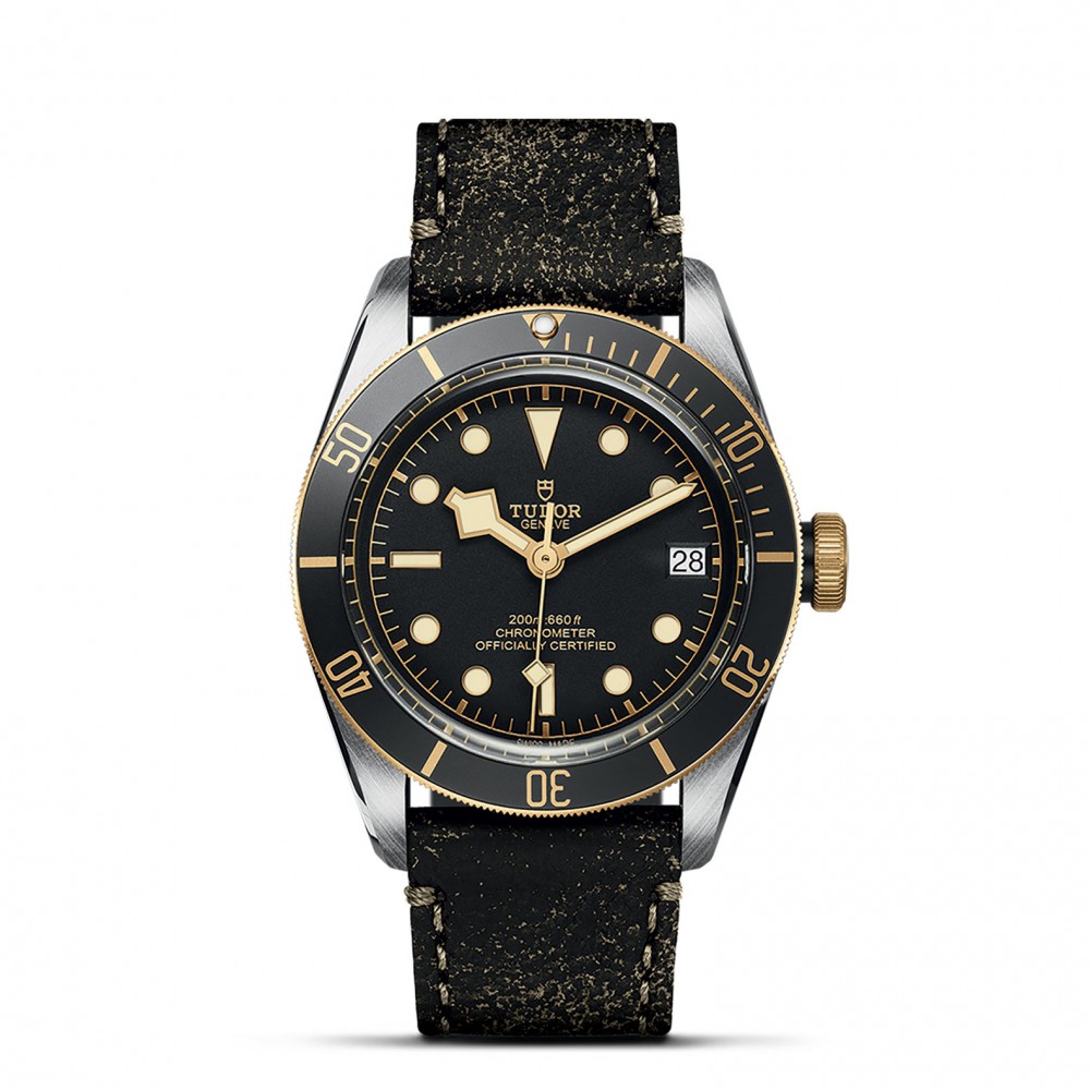 TUDOR Black Bay Watch - M79733N-0007 at  Providence Diamond
