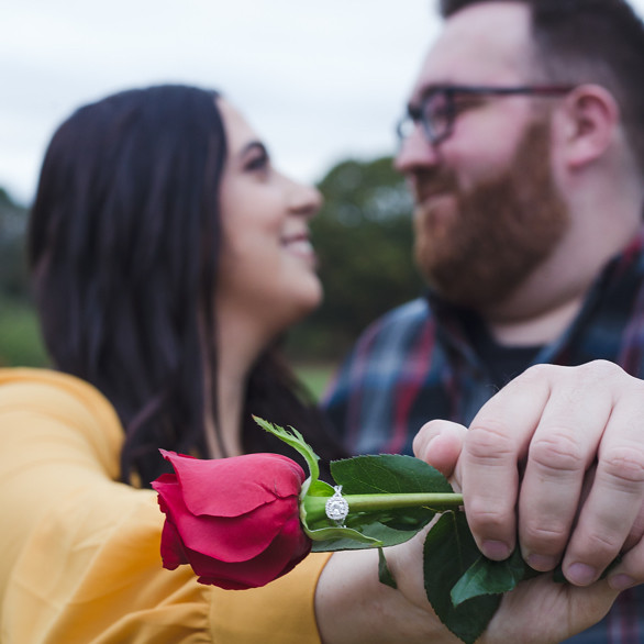 Holly & Eric - Fairytale Proposal