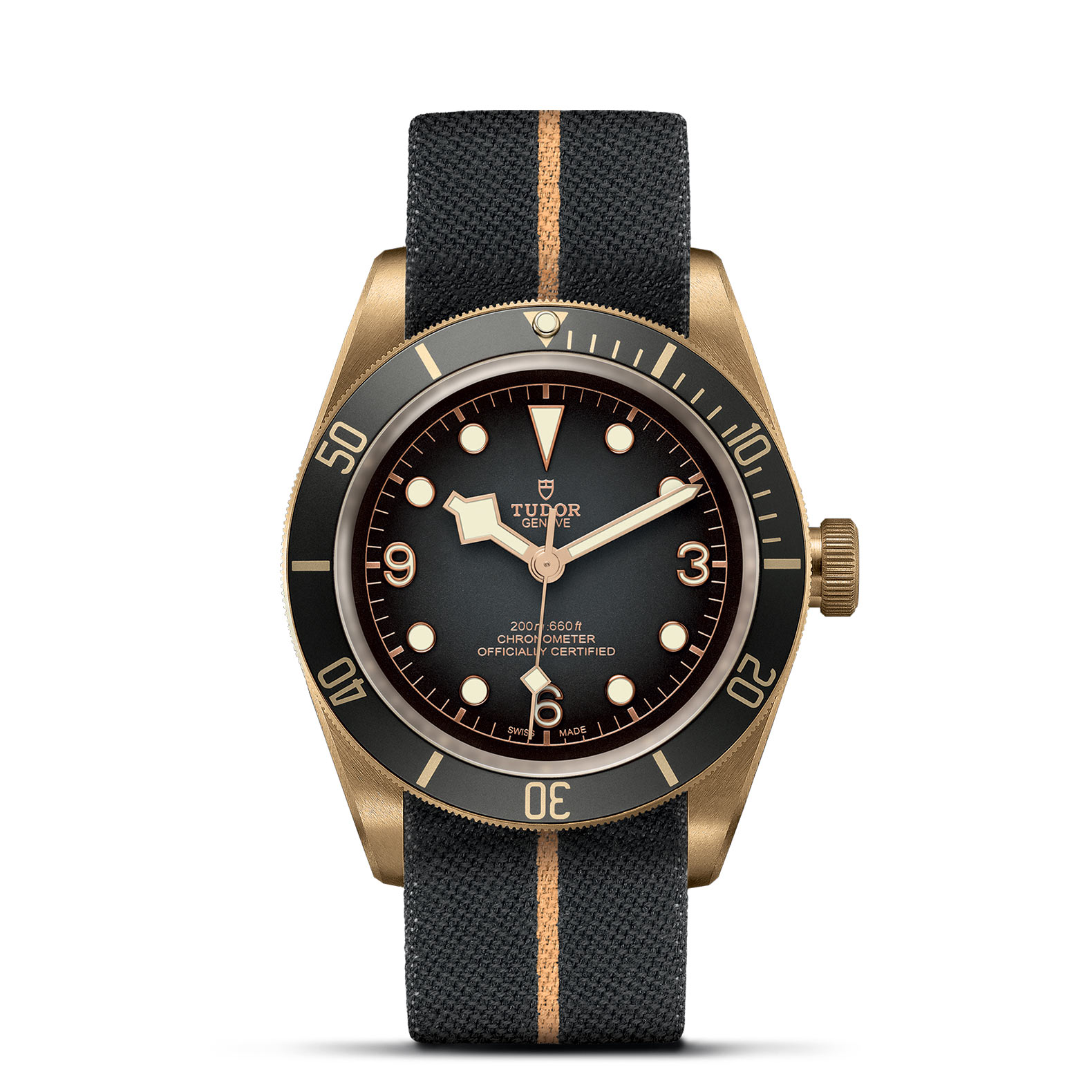 Black Bay Bronze